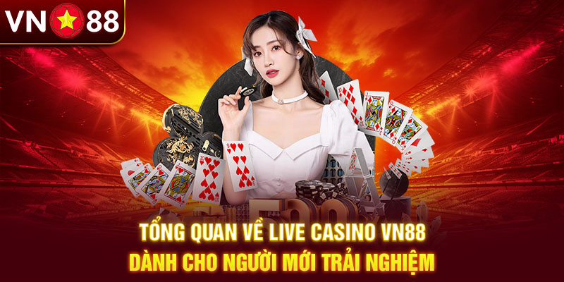 Live casino VN88 phục vụ mọi đối tượng người chơi